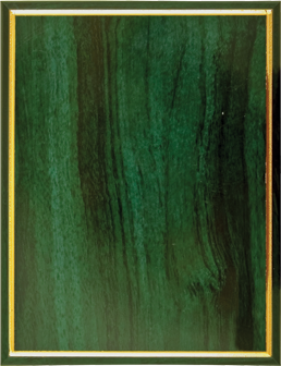 Плакетка из прессованного дерева 1914-200-105