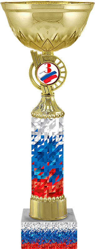 Кубок Агент 1,2,3 место 4507-310-103