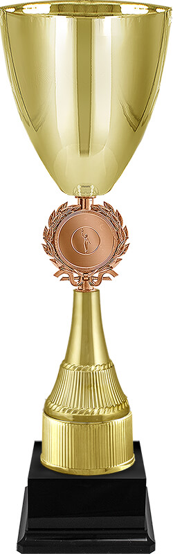 Кубок Додж 4556-500-300