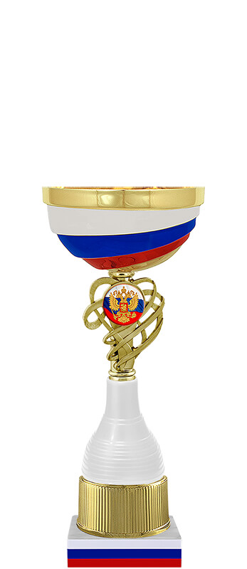 Кубок Кадет 4576-240-132
