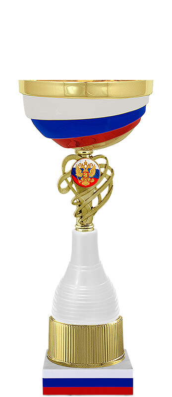 Кубок Кадет 4576-310-132
