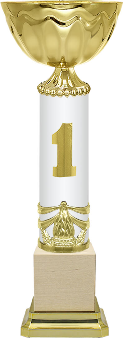Кубок Герда 1,2,3 место 4611-270-101