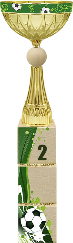 Кубок Ювента 1,2,3 место 4696-310-102