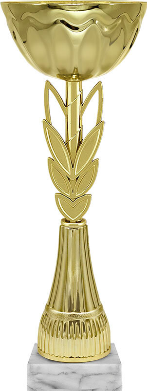 Кубок Ферзь 5600-C21-100