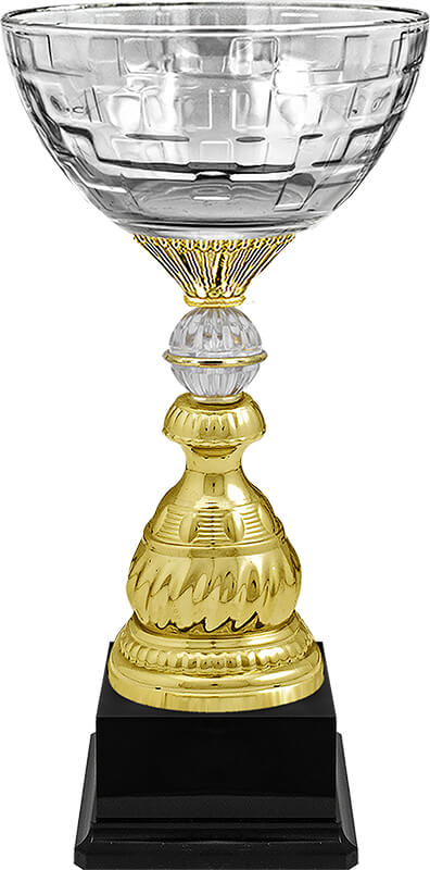 Кубок Ньютон 5910-390-100